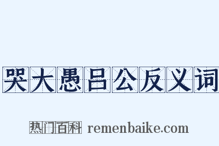 哭大愚吕公反义词是什么意思的图片